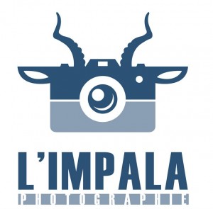 L'impala photographie